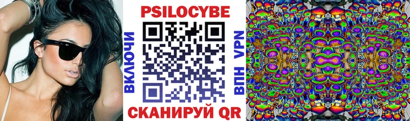 Псилоцибиновые грибы Psilocybe Электросталь