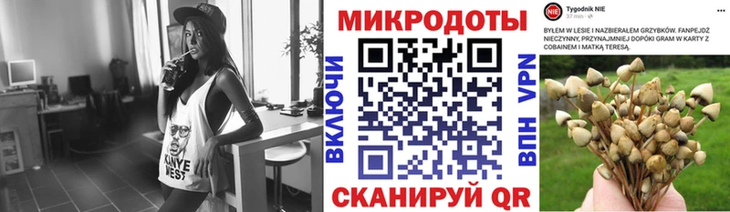 Псилоцибиновые грибы Psilocybine cubensis Электросталь